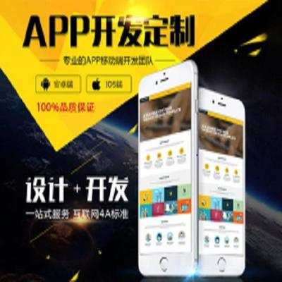 app定制开发