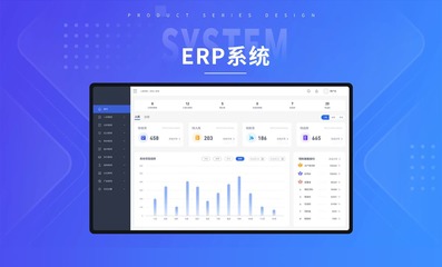 企业管理软件开发