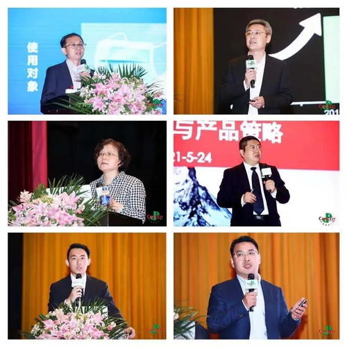齐聚金陵,共谋 纸 卫 发展 cidpex2021 focus生活用纸和卫生用品国际论坛圆满落幕